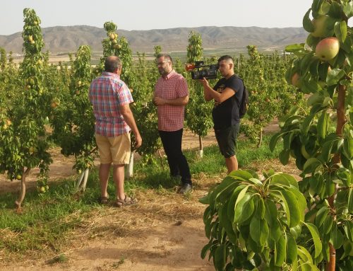 La Tierrica Bio en TeleMurcia