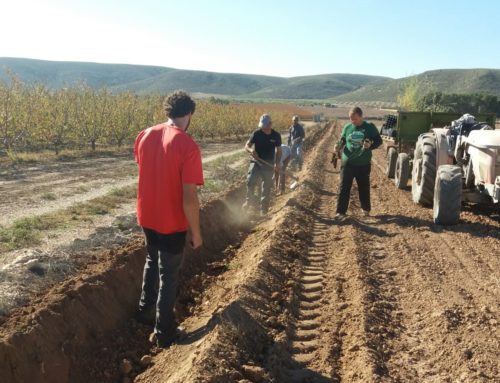 Desarrollo de biodiversidad  -Programa GoSetos
